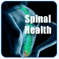 Spinal Health and 